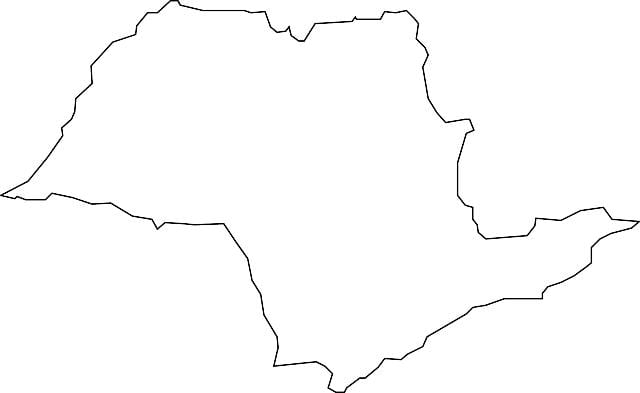 Mapa São Paulo-bektorea